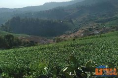 ขายที่ดินโฉนด 2 ไร่ บรรยากาศดี วิวที่สวยงามที่สุดของ อ.ปาย ใกล้แหล่งท่องเที่ยว รีสอร์ต ชุมชน 9 นาทีจากภูริปายรีสอร์ต  ห่