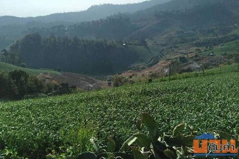 ขายที่ดินโฉนด 1 ไร่ บรรยากาศดี วิวที่สวยงามที่สุดของ อ.ปาย ใกล้แหล่งท่องเที่ยว รีสอร์ต ชุมชน 9 นาทีจากภูริปายรีสอร์ต  ห่