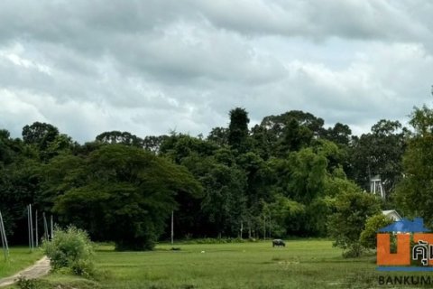 ขายที่ดินศรีสะเกษ 5 ไร่ 1,200,000 บาท (( ที่ดินสวย ทำเลดี ))