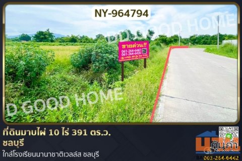 NY-964794 ที่ดินมาบไผ่ 10 ไร่ 391 ตร.ว. ชลบุรี ใกล้โรงเรียนนานาชาติเวลล์ส ชลบุรี
