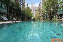 ขาย/ให้เช่า คอนโดมิเนียม ใจกลางสุขุมวิท โครงการวีธารา สุขุมวิท 36