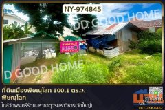 NY-974845 ที่ดินเมืองพิษณุโลก 100.1 ตร.ว. พิษณุโลก ใกล้วัดพระศรีรัตนมหาธาตุวรมหาวิหาร(วัดใหญ่)