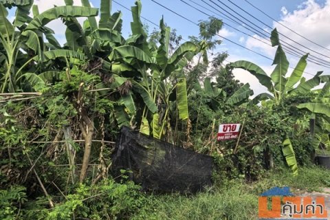 ขายที่ดินเปล่า 70ตรว. คลอง11 หมู่บ้านนริศรา ซ.4 ถูกกว่าราคาประเมิน เจ้าของขายเอง โทร 0969654945