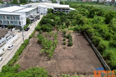 ขายที่ดินแปลงสวย 2 แปลง ถมแล้ว ขนาดเริ่มต้น 151 ตร.ว. ซอยวัดสลักเหนือ ปากเกร็ด ใกล้สถานีรถไฟฟ้าอิมแพค เมืองทองธานี