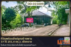 DD-015009 ที่ดินพร้อมสิ่งปลูกสร้างพาน 37 ไร่ 251.4 ตร.ว. เชียงราย ใกล้มหาวิทยาลัยเทคโนโลยีราชมงคลล้านนา