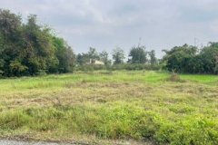 ที่ดินถมแล้ว 193 ตร.ว. ในหมู่บ้านพูลวิลล่า หลังปั๊ม ปตท. สันผักหวาน  พร้อมปลูกบ้านหรือสร้างพูลวิลล่าได้ทันที