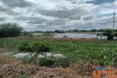 ขายที่ดินเปล่า ติดถนนหลวงหมายเลข 3496 ใกล้ตลาดร้อยปีสามชุก สุพรรณบุรี ขนาด 1 ไร่ 2 งาน 2 ตร.ว. ทำเลดี ราคาต่อรองได้  รา