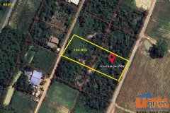 ขายที่ดิน บ่อทอง เทศบาลตำบลธาตุทอง 5 ถนน3340 ตำบลธาตุทอง อำเภอบ่อทอง ชลบุรี