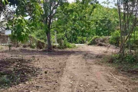 ขายที่ดินแปลงใหญ่ ผังเหลือง อ.สันกำแพง จ.เชียงใหม่