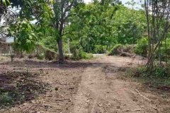 ขายที่ดินแปลงใหญ่ ผังเหลือง อ.สันกำแพง จ.เชียงใหม่