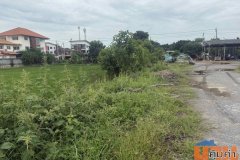 ขายหรือให้เช่าที่ดินแปลงใหญ่ ทำเลทอง อำเภอไทรน้อย จังหวัดนนทบุรี