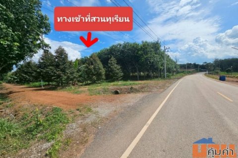 ขายสวนทุเรียนหมอนทอง จ.ระยอง ต้นสวยสมบูรณ์