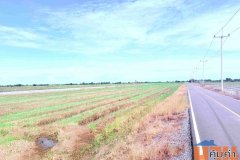 ขายหรือให้เช่าที่ดิน ขนาดใหญ่ ราคาดี ทำเลบางเลน จ.นครปฐม