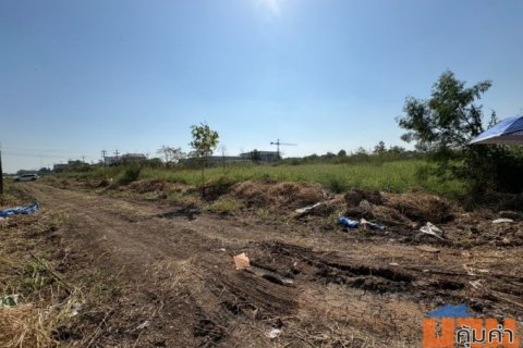 ขายที่ดินถมแล้ว 2 แปลงติดกัน พร้อมโฉนด คลอง 5 ธัญบุรี 2 งาน 80 ตรว. เข้าออกได้ 2 ทาง ใกล้มอเตอร์เวย์ ฟรีโอน