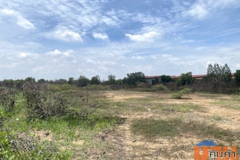 ขายไร่ละ 2 ล้าน ที่ดินติดถนนสาย 347 บางปะหัน พระนครศรีอยุธยา