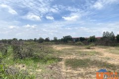 ขายไร่ละ 2 ล้าน ที่ดินติดถนนสาย 347 บางปะหัน พระนครศรีอยุธยา