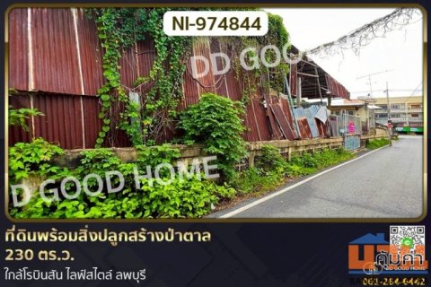 NI-974844 ที่ดินพร้อมสิ่งปลูกสร้างป่าตาล 230 ตร.ว. ลพบุรี ใกล้โรบินสัน ไลฟ์สไตล์ ลพบุรี