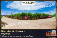 TP-984862 ที่ดินท่าม่วง 22 ไร่ 14 ตร.ว. กาญจนบุรี ใกล้โรงพยาบาลส่งเสริมสุขภาพตำบลนพกิจโกศล