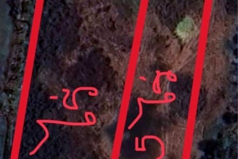 ขายที่ดินท่าไข่ 4 ไร่ 2 งาน จ.ฉะเชิงเทรา ที่ดินเพื่อการลงทุน ที่ดินเผื่อการเกษตร เจ้าของขายเอง