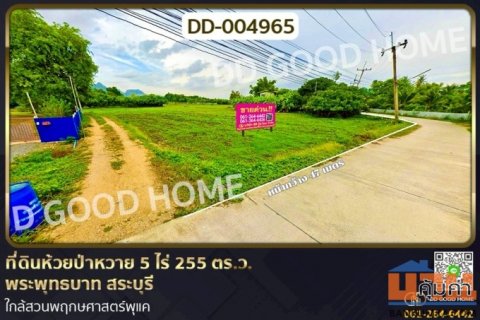 DD-004965 ที่ดินห้วยป่าหวาย 5 ไร่ 255 ตร.ว.พระพุทธบาท สระบุรี ใกล้สวนพฤกษศาสตร์พุแค