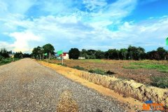 ที่ดินถมแล้ว 200 ตรว คลอง14 หนองเสือ อยู่ใกล้ถนนลาดยางเรียบคลอง 14 เหมาะปลูกบ้าน ทำสวน ทำการเกษตร อยู่ใกล้แหล่งชุมชน