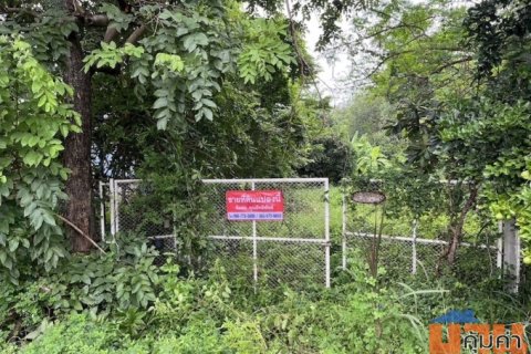 ที่ดิน 23 ไร่ ติดถนนเลียบคลองระพีพัฒน์ คลอง 13 หนองเสือ ปทุมธานี 098 7755 808