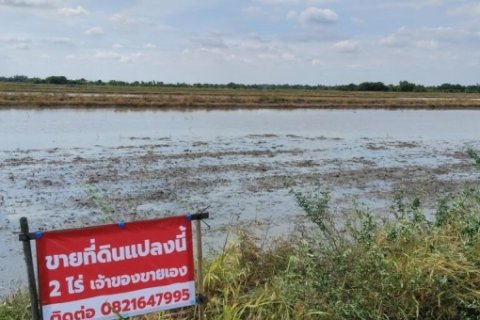 ขายที่ดิน(ยังไม่ถม มีถนนตัดผ่าน) 4 ไร่ คลอง 23 อ.องครักษ์ จ.นครนายก