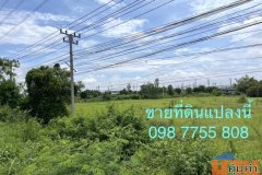 ขายที่ดินติดถนนสายเอเชีย หน้านิคมไฮเทค บางปะอิน อยุธยา 098 7755 808