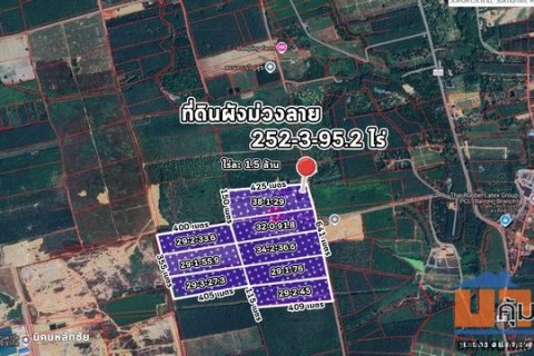 ที่ดินผังสีม่วงลาย ขนาด 252-3-95.2 ไร่ อ.เมือง จ.ระยอง ไร่ละ 1.5 ล้าน พร้อมโอกาสทำกำไรในอนาคต!