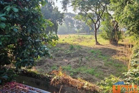 ขายที่ดินทำเลดี 1 ไร่ ผังเมืองสีแดง ใกล้ตลาดสันป่าข่อย อ.เมือง เชียงใหม่