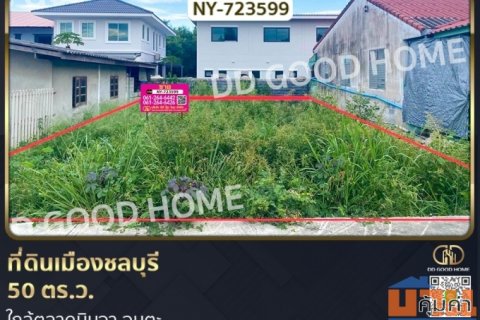 ที่ดินเมืองชลบุรี 50 ตร.ว. ใกล้ตลาดนินจา อมตะ