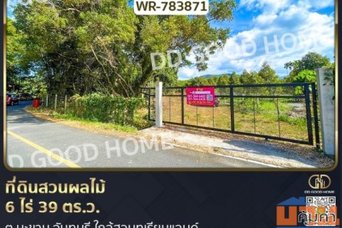 ที่ดินสวนผลไม้ 6 ไร่ 39 ตร.ว. ต.มะขาม จันทบุรี ใกล้สวนทุเรียนแลนด์
