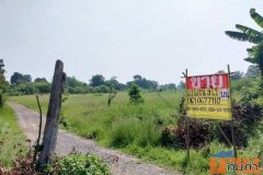 ขายที่ดินสวย 9-1-80 ไร่ หนองปลิง เมืองนครสวรรค์ เข้า-ออกสะดวก ได้ 2 ทาง