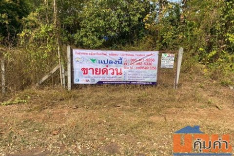 ขายที่ดินสวนยางพารา 37-2-80 ไร่ ต.นาพู่ อ.เพ็ญ จ.อุดรธานี