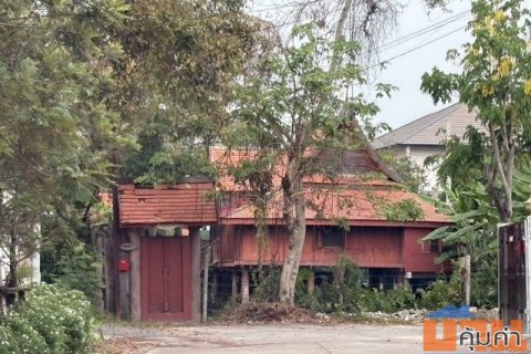 ขายบ้านทรงไทย มนต์เสน่ห์บ้านไม้ พร้อมบึงน้ำภายในบ้าน  นนทบุรี