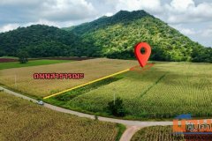ขายที่ดินทำเลทอง ตำบลเขาชายธง อำเภอตากฟ้า จังหวัดนครสวรรค์