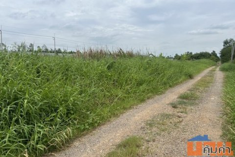 ขายที่ดิน คลองห้า อำเภอคลองหลวง จังหวัดปทุมธานี เนื้อที่ 260 ตรว