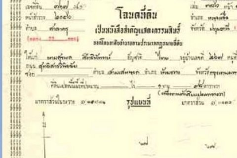 ขายที่ดินแปลงสวยติดถนน 2 ฝั่ง คลอง11 อำเภอหนองเสือ จังหวัดปทุมธานี