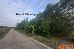sss503 ขายที่ดินถมแล้ว คลอง 3 คลองหลวง ใกล้วัดธรรมกาย