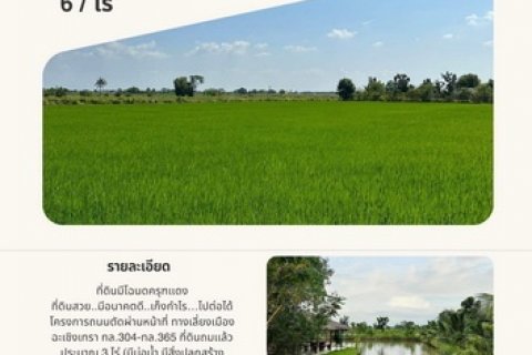 ที่ดินยกแปลง 6 ไร่ เหมาะทำร้านอาหาร คาเฟ่ ต.ท่าไข่ อ.เมือง จ.ฉะเชิงเทรา