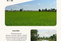 ที่ดินยกแปลง 6 ไร่ เหมาะทำร้านอาหาร คาเฟ่ ต.ท่าไข่ อ.เมือง จ.ฉะเชิงเทรา