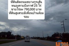 ขายที่ดินติดถนนทางหลวงแผ่นดินเส้นหนองคายบึงกาฬ 25 ไร่