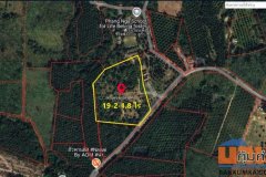 ขายที่ดิน 19-2-1.8 ไร่ ทำเลเขา วิวสวย ตำบลทุ่งมะพร้าว อำเภอท้ายเหมือง จังหวัดพังงา