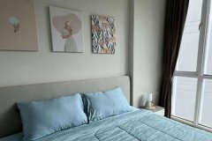 For Rent : Wichit, The Base Downtown, 1 Bedrooms 1 Bathrooms, 5th flr.