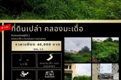 ขายที่ดินเปล่า 1 ไร่ 1 งาน ทำเลดี ติดถนนเศรษฐกิจ 1 คลองมะเดื่อ อ.กระทุ่มแบน จ.สมุทรสาคร