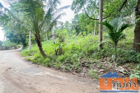 Last Large Land Plot in Lipa Noi Near Blue Market Nathon Pier Limited Offer Premium Samui Land