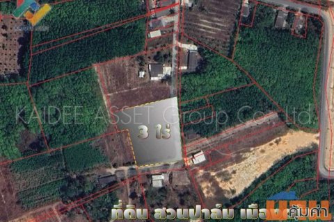 ที่ดิน โคกหล่อ เมืองตรัง ตรัง สวนปาล์ม ใกล้สนามบิน ราคาถูก