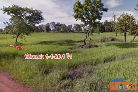 ขาย ที่ดินเปล่า 1-1-20.1 ไร่ เพียง 10 กิโลเมตร จากใจกลางเมือง ท่าอากาศยานสกลนคร เพียง 15 นาที ฮางโฮง สกลนคร