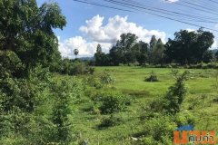 ขายที่ดิน แปลงใหญ่ ติดถนน ใกล้มอเตอร์เวย์ เข้าออกได้ 2 ทาง เหมาะทำโครงการหมู่บ้าน 35 ไร่ เดินทางสะดวก ท่าม่วง กาญจนบุรี