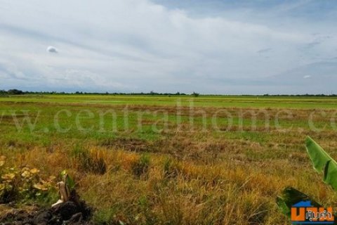 ที่ดินเปล่า 4 ไร่ 28.3 ตร.วา ถนนบางเลน 346 นครปฐม ราคาถูก
